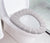 Winter Toilet Seat Cover Gray